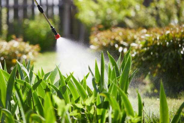 24/7 Emergency Wasp Removal experts in Goodwater, AL