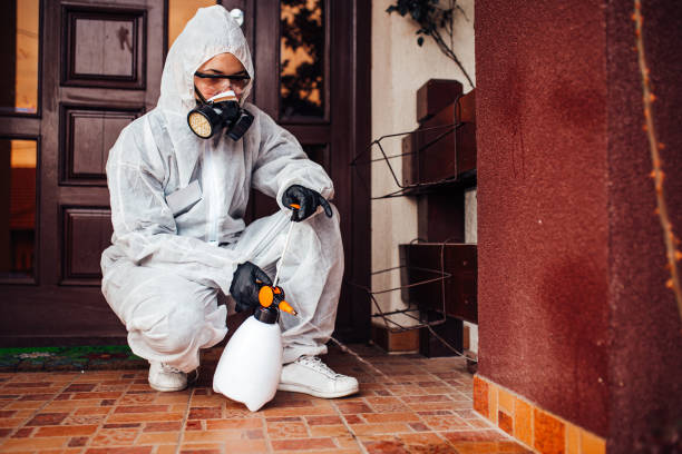 Reliable Wasp Removal contractor in Goodwater, AL by Show Me Pest Control