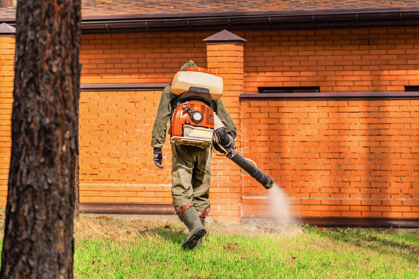 Top rated local Wasp Removal specialists in Goodwater, AL